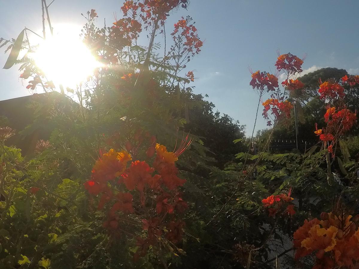 Vila Asbn Magic Garden Akko Exteriér fotografie